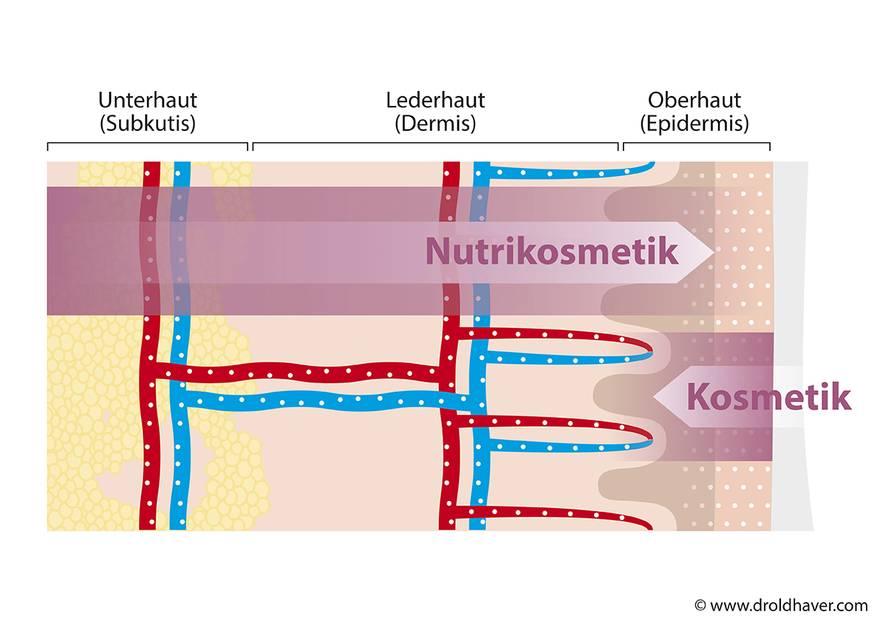 Nutrikosmetik